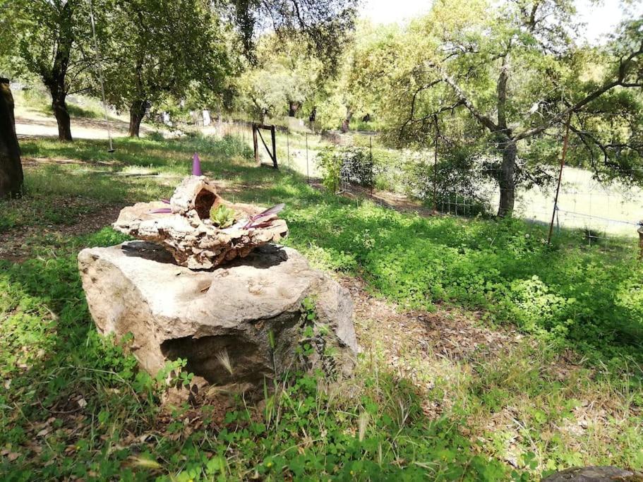 Casa Rural Alicia Cortegana Ngoại thất bức ảnh